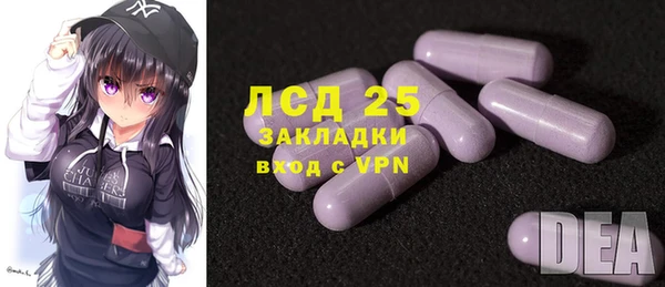 spice Богородск