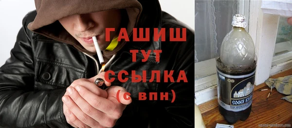 spice Богородск