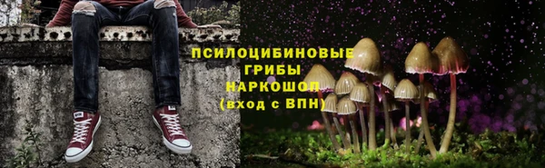 Альфа ПВП Богданович