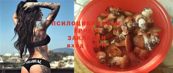 spice Богородск