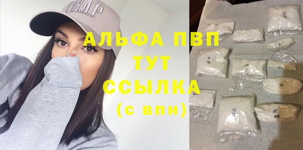 стафф Богородицк